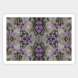 Purple Salt Heliotrope Wildflower Pattern Coachella Valley Wildlife Preserve Sticker